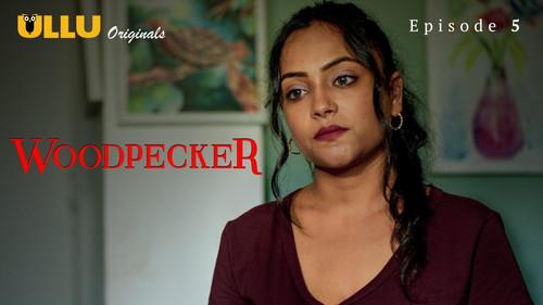 Woodpecker Season 1 Episode 5 - Episode 5