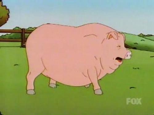 King of the Hill Season 7 Episode 9 - Pigmalion