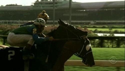 Numb3rs Season 3 Episode 6 - Longshot