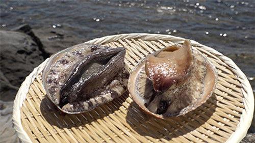 Trails to Tsukiji Season 2 Episode 20 - Abalone