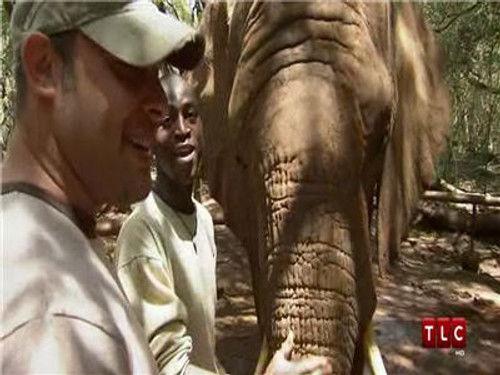 American Chopper Season 5 Episode 7 - Craftsman/DieHard 1