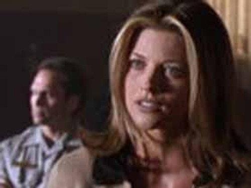 Silk Stalkings Season 7 Episode 19 - The Party