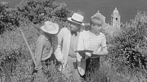 Poly Season 4 Episode 1 - Episode 1