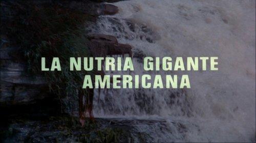 El hombre y la Tierra Season 1 Episode 11 - Episode 11