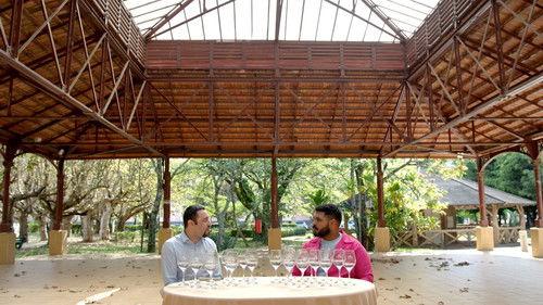 Avisa Lá Que Eu Vou Season 1 Episode 9 - Episode 9