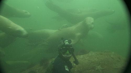 Les flots Season 1 Episode 16 - Episode 16