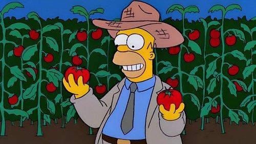 The Simpsons Season 11 Episode 5 - E-I-E-I-(Annoyed Grunt)