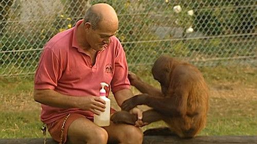 Monkey Business Season 6 Episode 11 - Episode 11