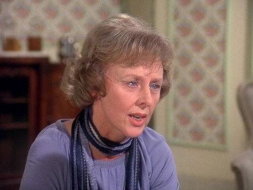 Eight Is Enough Season 2 Episode 8 - Children of the Groom (1)