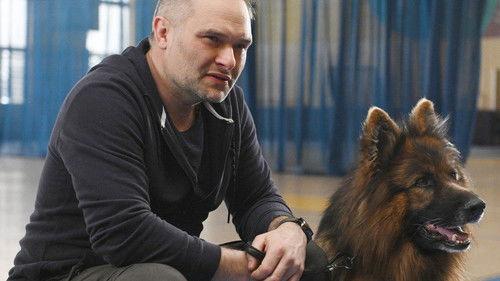 Komisarz Alex Season 18 Episode 4 - Episode 4