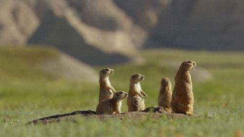 North America Season 1 Episode 2 - No Place to Hide