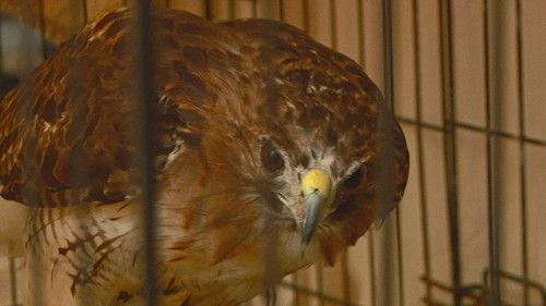 Lone Star Law Season 2 Episode 5 - Moving Target