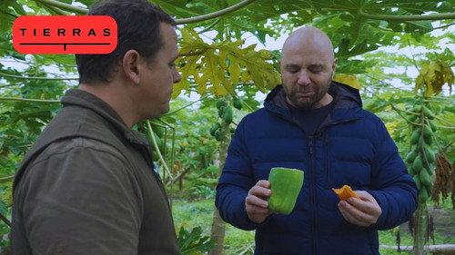 Proyecto Tierras Season 4 Episode 5 - Episode 5
