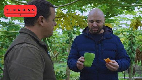 Proyecto Tierras Season 4 Episode 5 - Episode 5