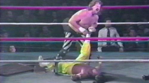 ECW Hardcore TV Season 1 Episode 38 - ECW Hardcore TV - Dec. 28, 1993