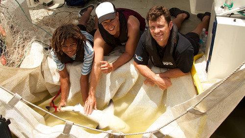 Bushwhacked! Season 3 Episode 8 - Bull Shark