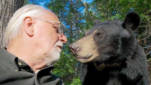 Natural World Season 34 Episode 9 - A Bear With A Bounty