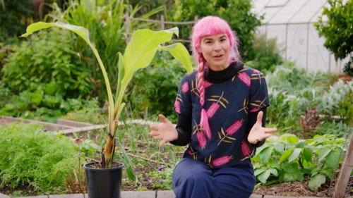 Gardening Australia Season 36 Episode 22 - Episode 22 Winter: Habitat Gardens & Plastic Free July
