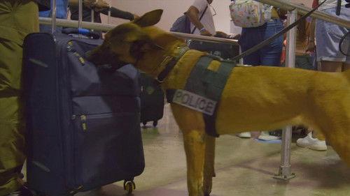 To Catch a Smuggler Season 4 Episode 4 - Dark Net Dragnet