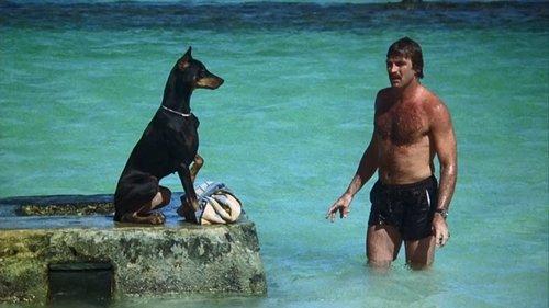 Magnum, P.I. Season 1 Episode 10 - Lest We Forget