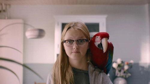 De Regels van Floor Season 3 Episode 8 - Episode 8