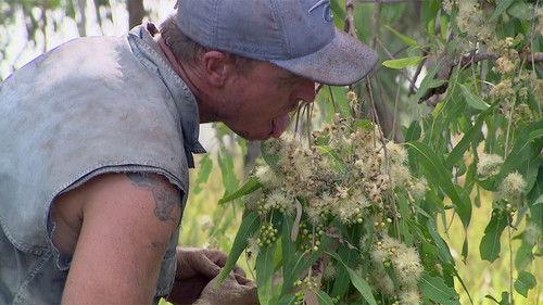 Black As Season 2 Episode 7 - Episode 7