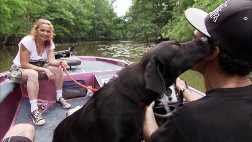Pit Bulls and Parolees Season 4 Episode 6 - Swamped