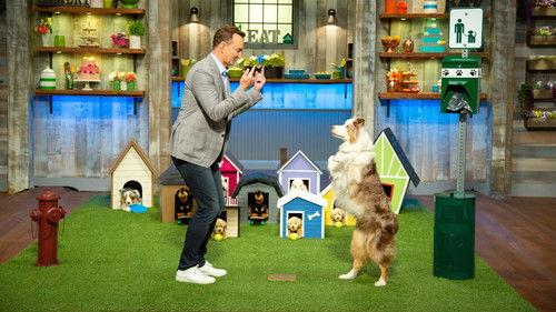 Spring Baking Championship Season 6 Episode 3 - The One About Puppies and Kittens