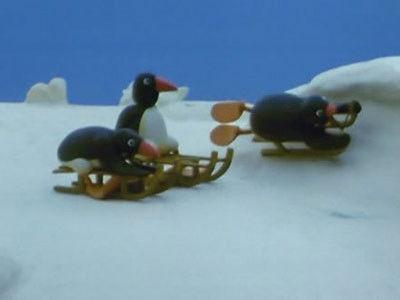 Pingu Season 1 Episode 11 - Pingu's Tobogganing