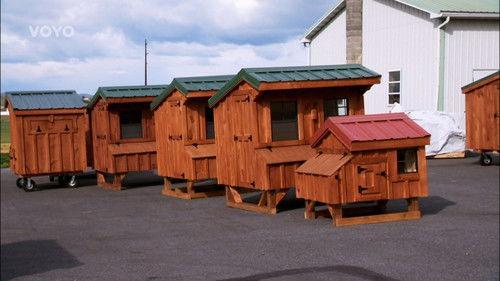 Shipping Wars Season 2 Episode 6 - Chicken Ship