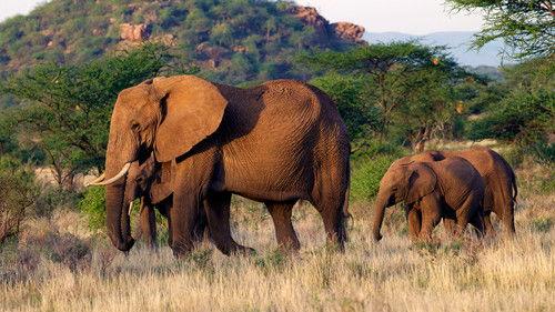 This Wild Life Season 1 Episode 8 - The River Crossing