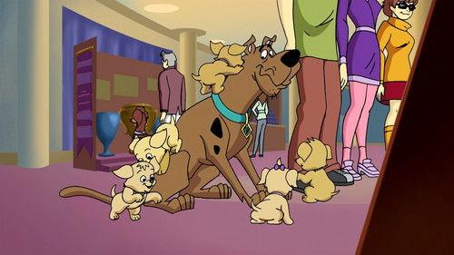 What's New, Scooby-Doo? Season 2 Episode 7 - Homeward Hound