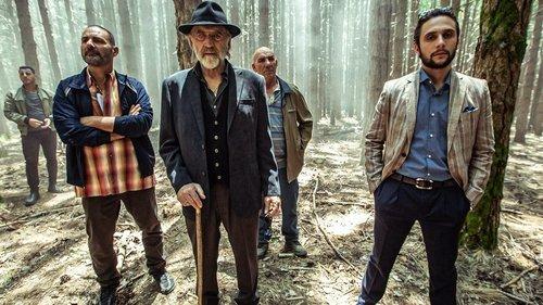 Background image for The Shipment