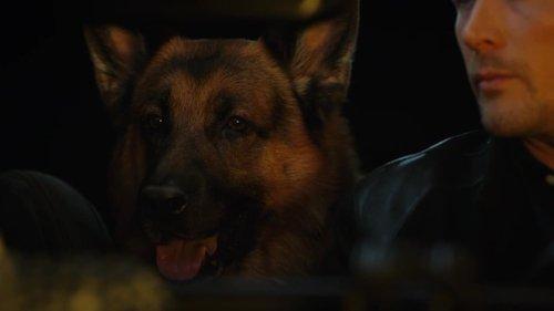 Hudson & Rex Season 4 Episode 10 - Blood & Diamonds