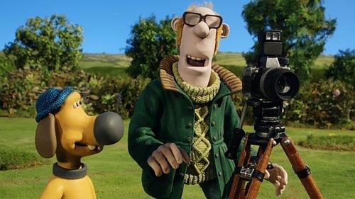 Shaun the Sheep Season 3 Episode 16 - The Snapshot
