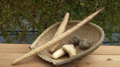 Background image for Yamaimo