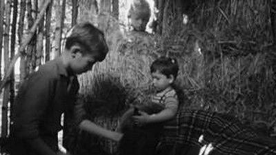 Poly Season 1 Episode 7 - Episode 7