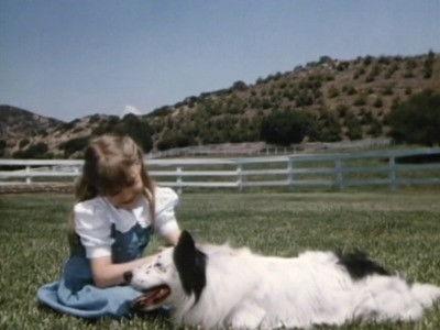 Highway to Heaven Season 4 Episode 1 - Man's Best Friend (1)