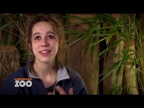 Une saison au zoo Season 5 Episode 24 - Episode 24