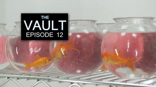 The Vault Season 1 Episode 12 - Episode 12