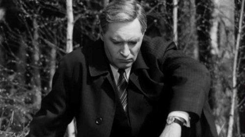 Seventeen Moments of Spring Season 1 Episode 12 - Episode 12