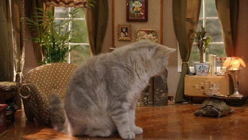 Poesjes Season 2 Episode 3 - Episode 3