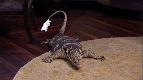 Jessie Season 2 Episode 4 - 101 Lizards