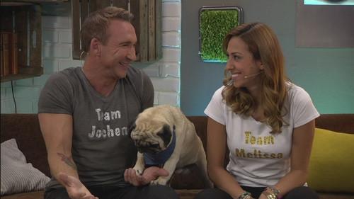 Promi Big Brother - Die Late Night Show Season 1 Episode 14 - Episode 14