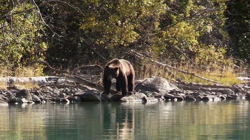 Alone Season 8 Episode 4 - Far from Home