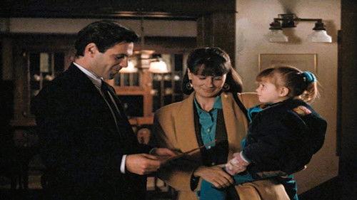 thirtysomething Season 3 Episode 10 - Michael's Campaign