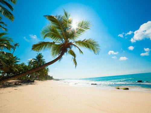 Wildest Islands Season 1 Episode 2 - Caribbean: The Wild Side of Paradise