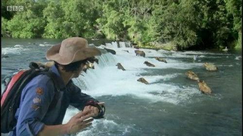 Andy's Wild Adventures Season 1 Episode 11 - Grizzly Bears