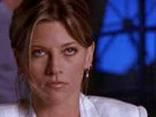 Silk Stalkings Season 7 Episode 11 - The Wedge