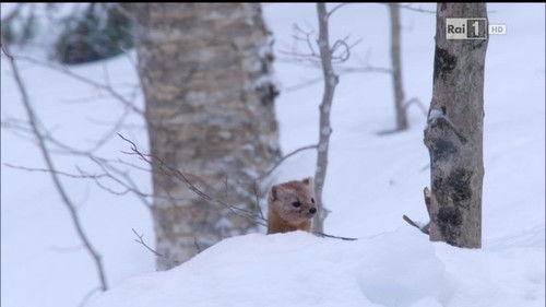 Superquark Season 22 Episode 6 - Episode 6